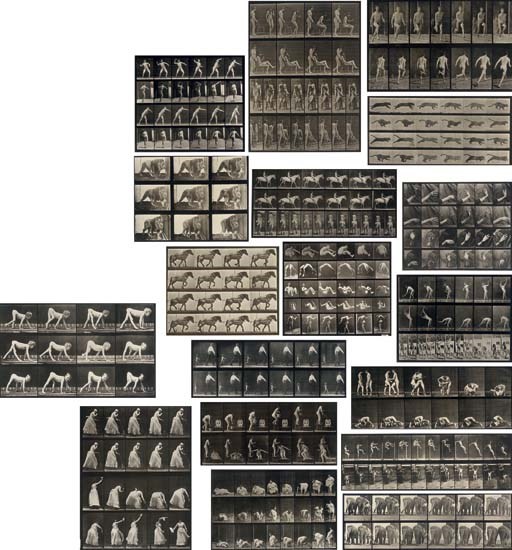 EADWEARD MUYBRIDGE (1830-1904)