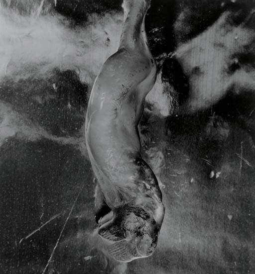SHOMEI TOMATSU (b. 1930)