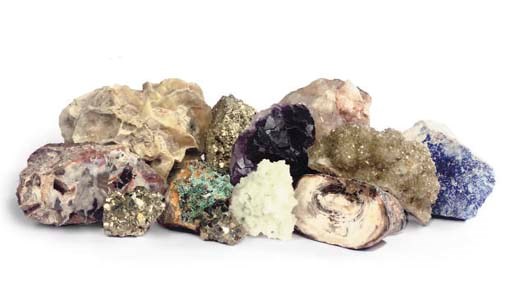 A COLLECTION OF FOSSIL AND MINERAL SPECIMENS