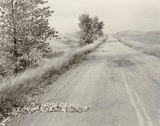 ROBERT ADAMS (b.1937)