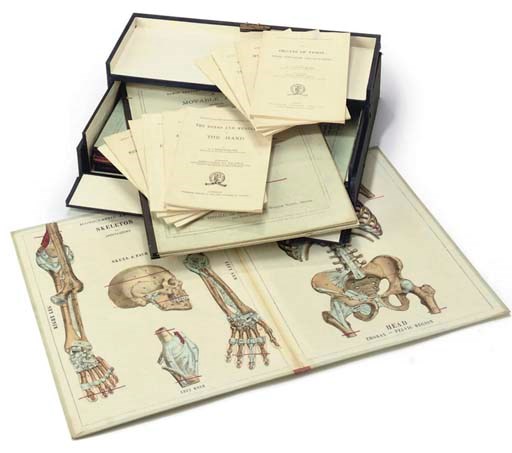 A cased set of eleven anatomical 'moveable' atlases with accompanying handbooks,