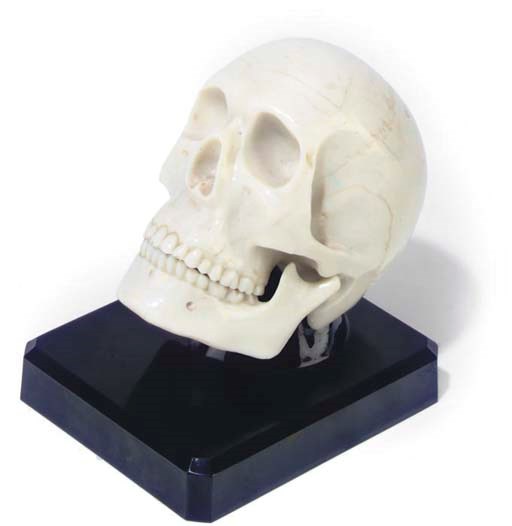 An American ivorine model skull with articulated jaw,