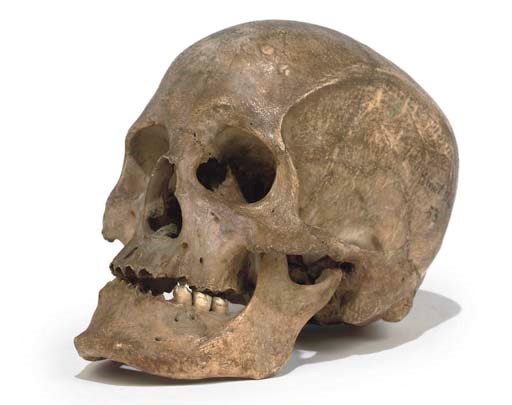 A human skull,