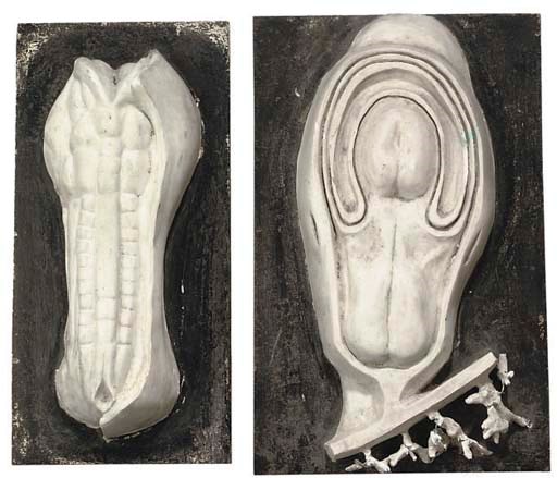 Two plaster models of [?] single cell organisms,
