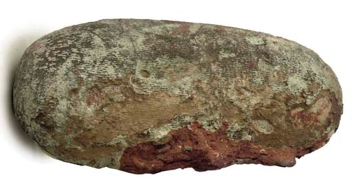 A oviraptor sp. dinosaur egg,