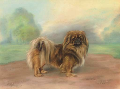 D. Tucker (early 20th century)