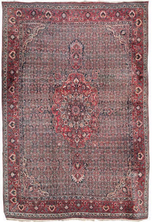 A massive Meshed carpet