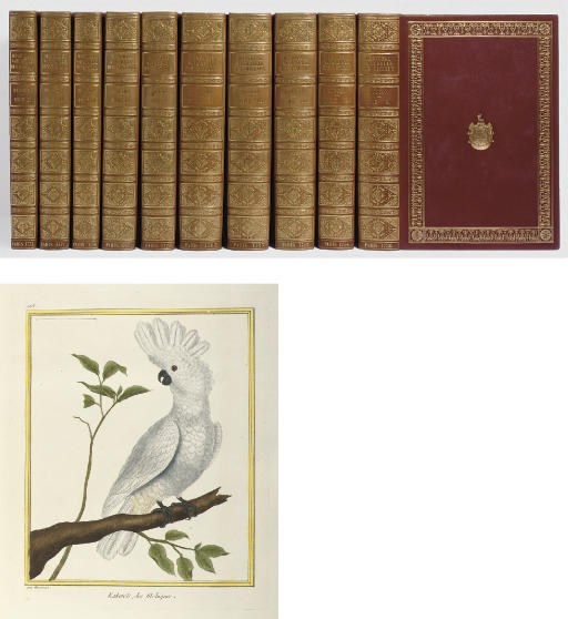BUFFON, Georges-Louis-Marie Le Clerc (1707-88). Histoire Naturelle des Oiseaux. Paris: Imprimerie Royale (vols. VII-X suivant la copie de l'Imprimerie Royale), [1770-]1771-1786.