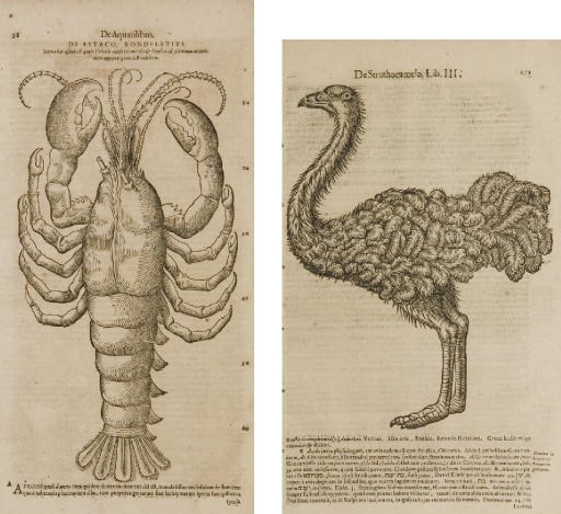 GESNER, Conrad (1516-65). Historiae animalium. Frankfurt: Henricus Laurentius, 1617-21.