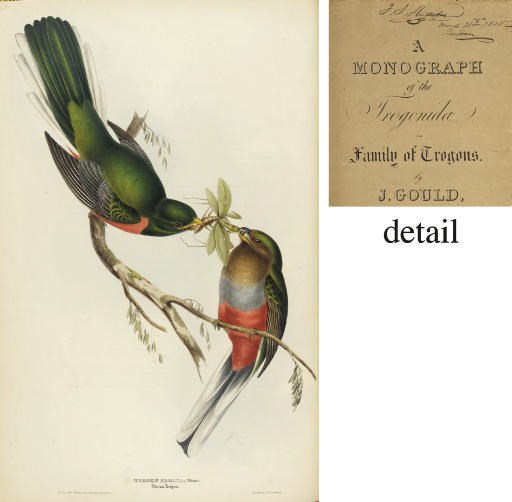 GOULD, John (1804-1881). A Monograph of the Trogonidae, or Family of Trogons. London: by the Author, 1835-38.