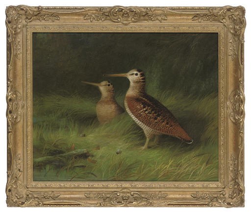Abel Hold (British, 1815-1893)
