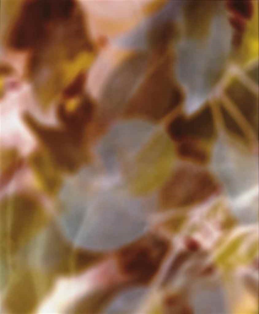 JAMES WELLING (B. 1951)