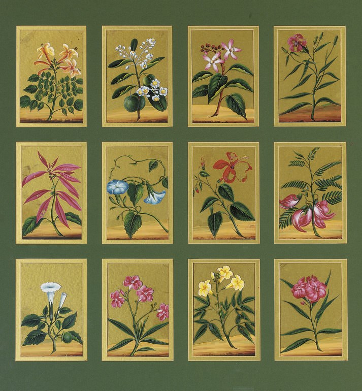 TWELVE FLORAL STUDIES ON MICA, INDIA, 19TH CENTURY