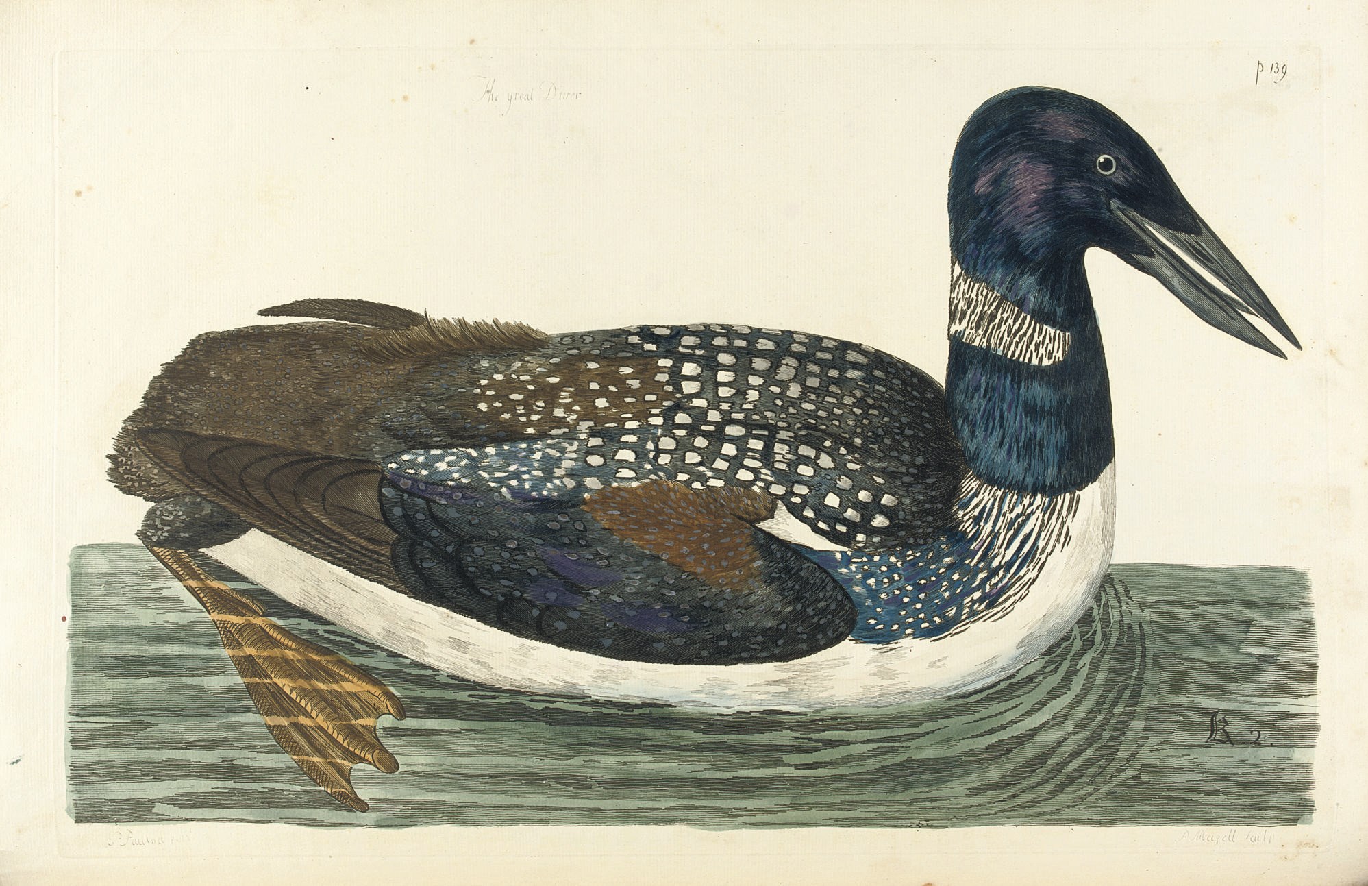 [PENNANT, Thomas (1726-1798).] The British Zoology, Class I Quadrupeds, II Birds, London: Cymmrodorion Society, by J. & J. March, [1761-]1766
