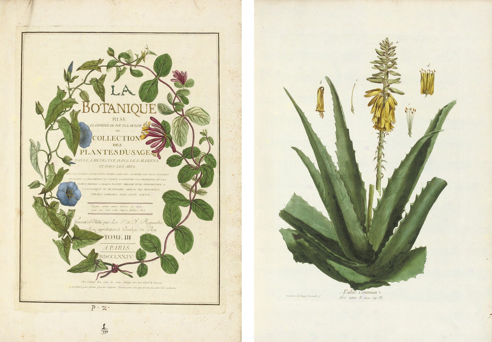REGNAULT Nicolas François (1746-c.1810) and Genevive de Nangis REGNAULT (b.1746). La Botanique mise a la portée de tout le Monde: ou collection des Plantes d'usage dans la Médecine, dans les Alimens et dans les Arts. Paris: the author and Didot le jeune, [1770]-1774-[1780].
