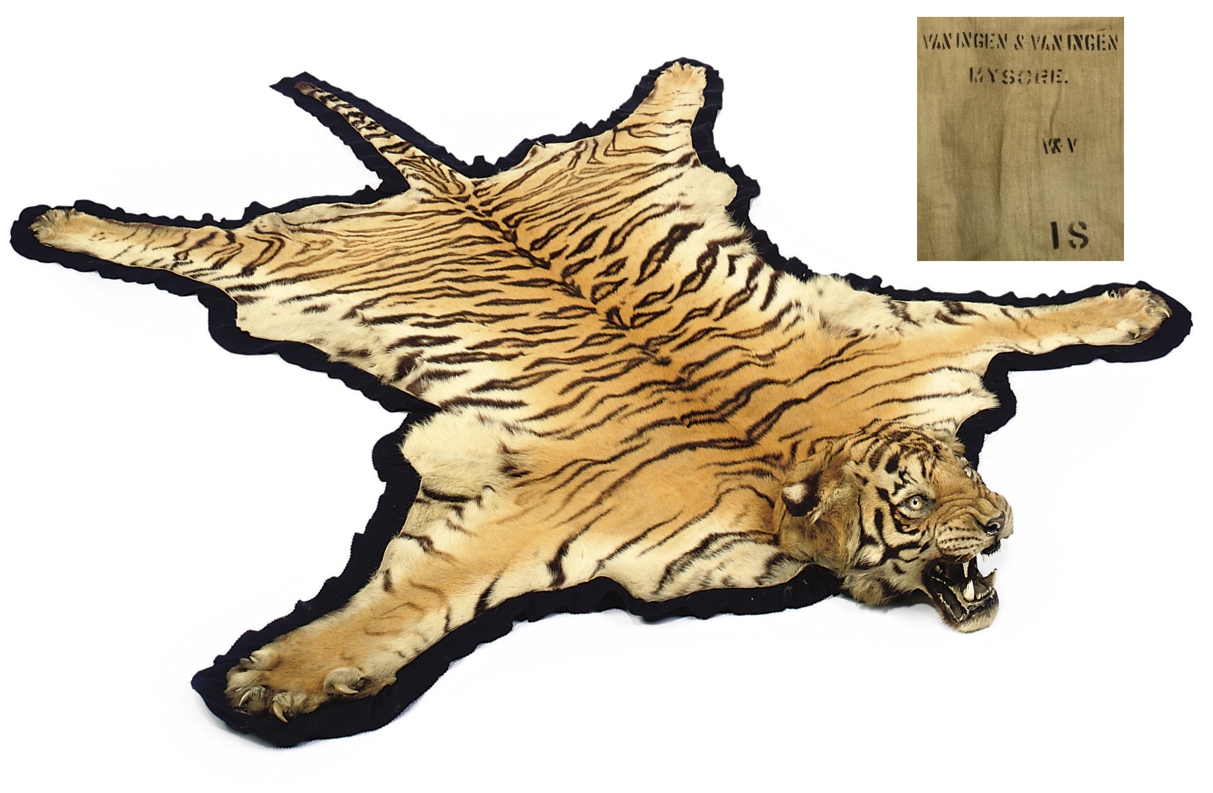 AN INDIAN TIGER SKIN RUG