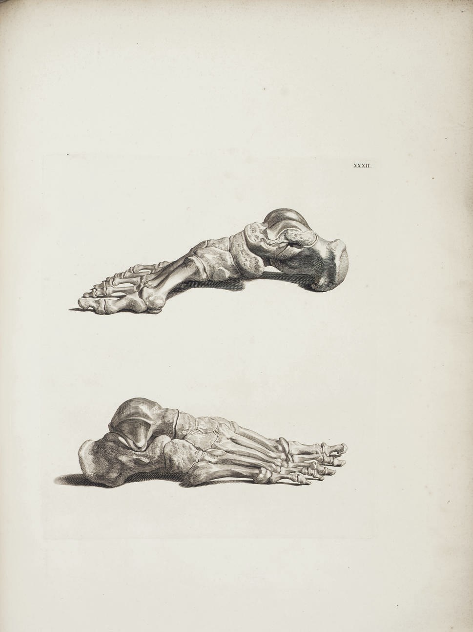 ALBINUS, Bernhard Siegfried (1697-1770). Icones ossium foetus humani. Accedit osteogeniae brevis historia. Leiden: Johan and Herman Verbeek, 1737.