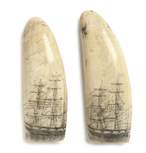 A PAIR OF SCRIMSHAW WHALES TEETH