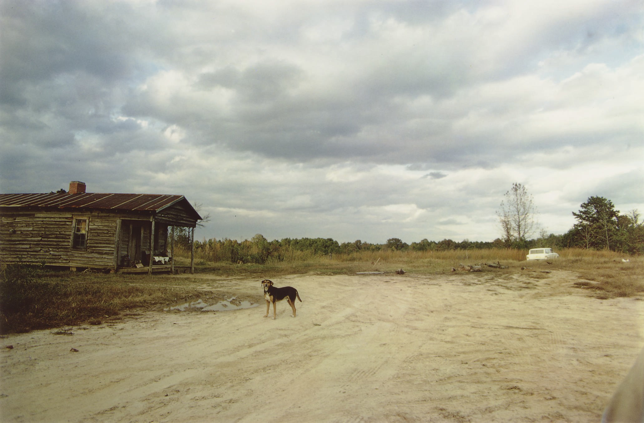 WILLIAM EGGLESTON (B. 1939)