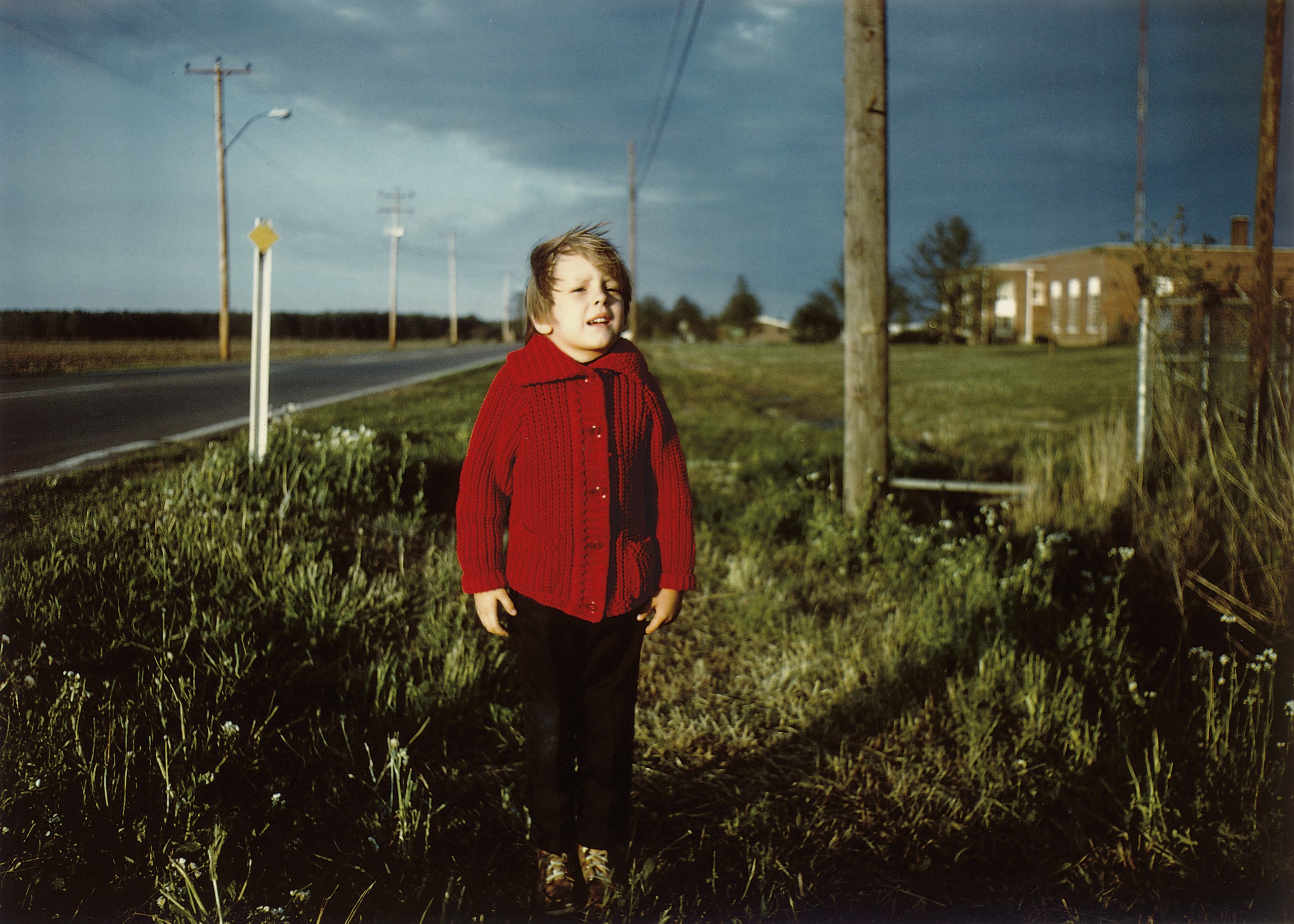 WILLIAM EGGLESTON (B. 1939)