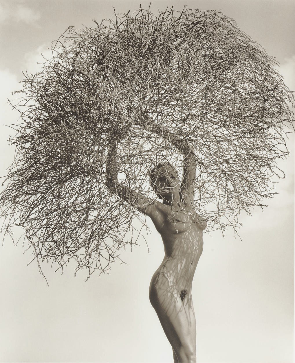 HERB RITTS (1952-2002)