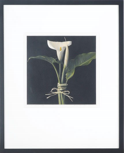 Brigitte Carnochan (b. 1941)