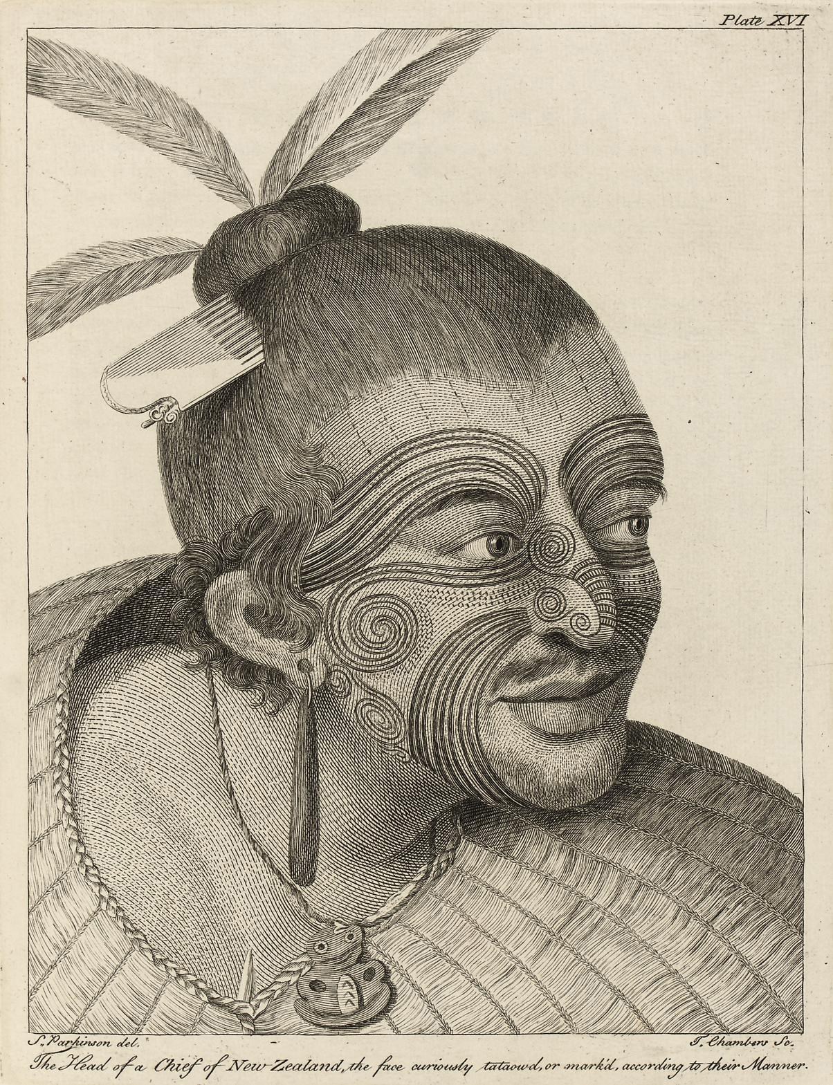 SYDNEY PARKINSON (1745-1771)