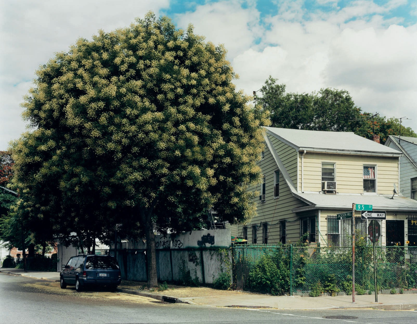 JOEL STERNFELD (B. 1944)