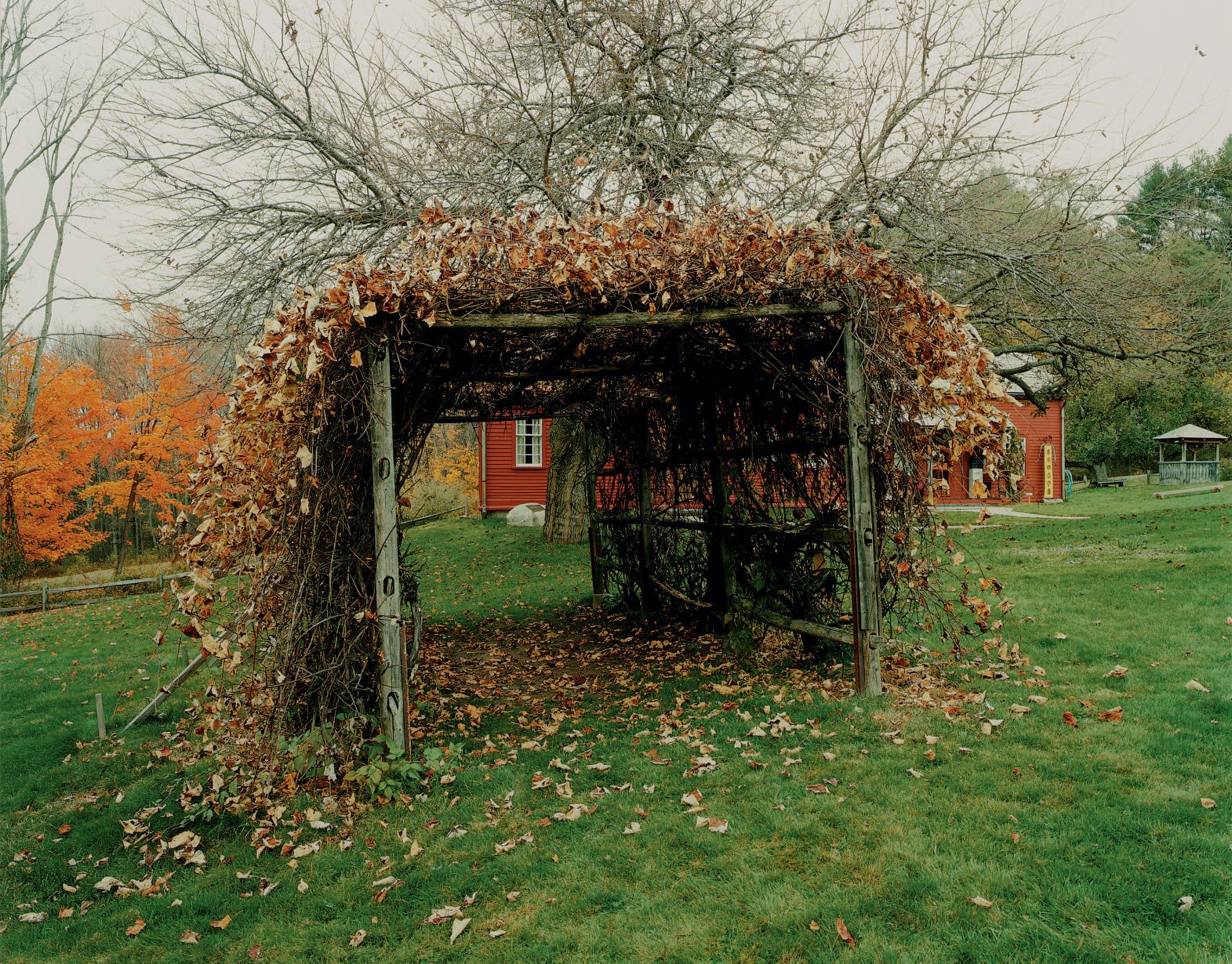 JOEL STERNFELD (B. 1944)
