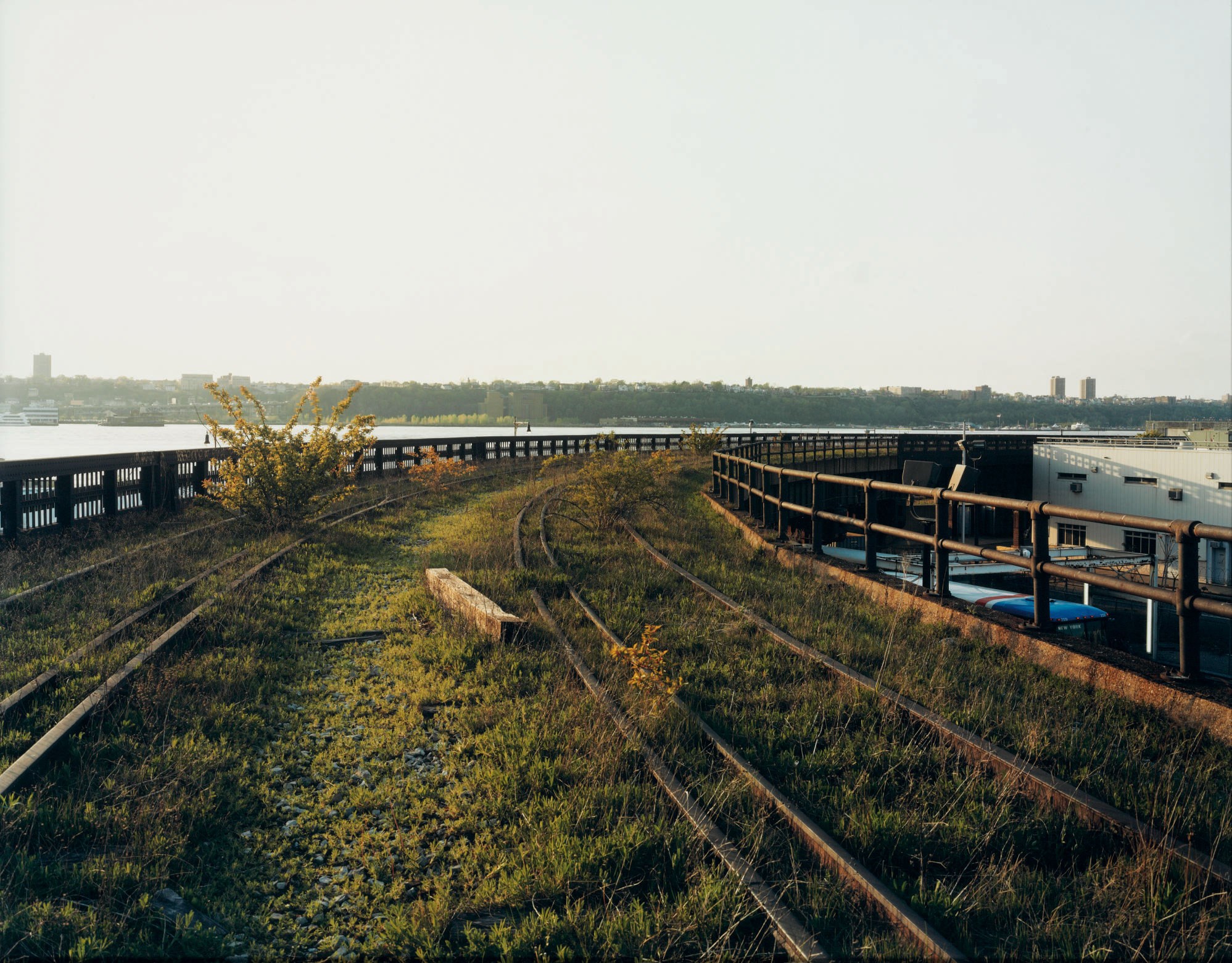 JOEL STERNFELD (B. 1944)