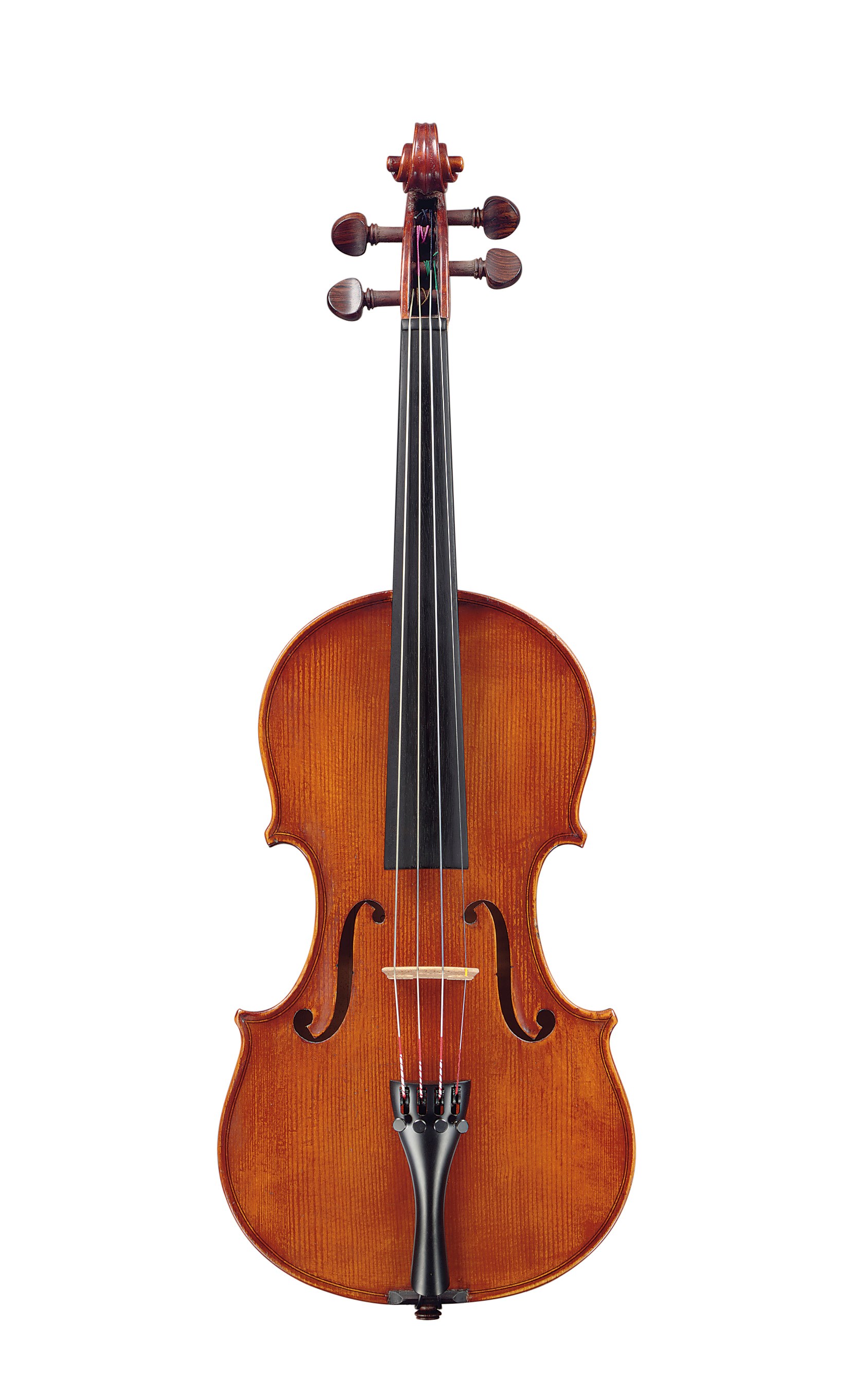 A VIOLIN