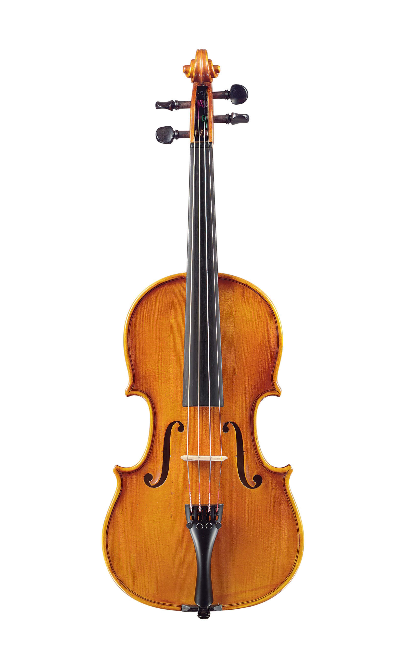 A VIOLIN