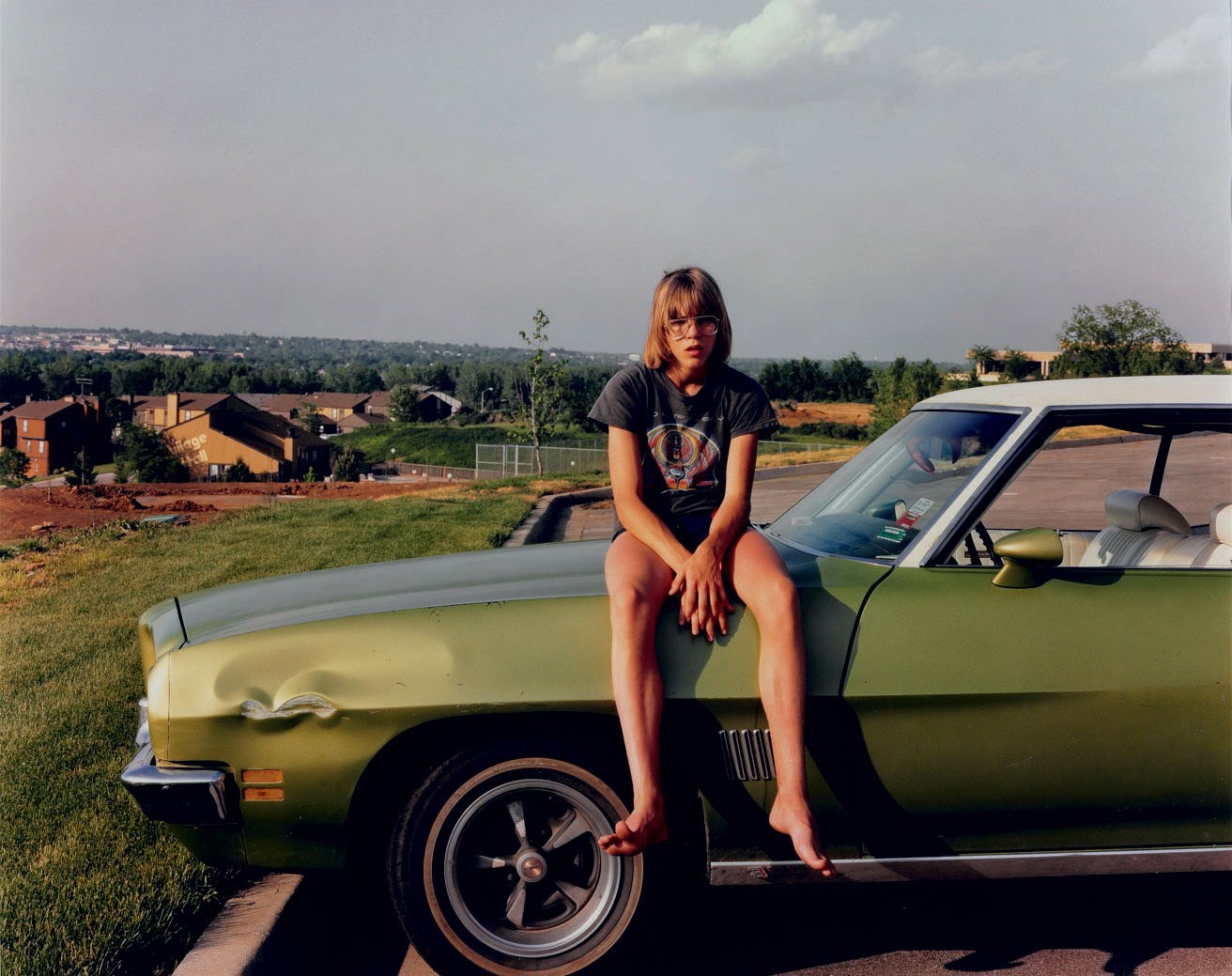 JOEL STERNFELD (B. 1944)