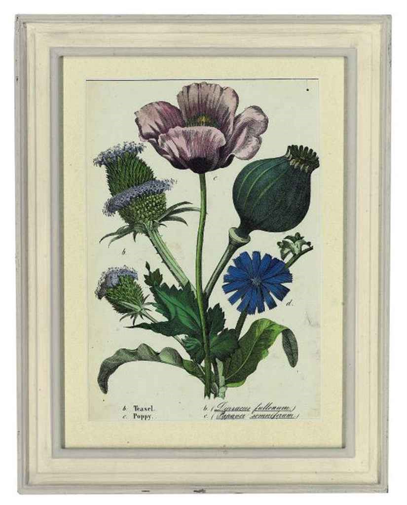 Charlotte Mary Yonge (1823-1901)