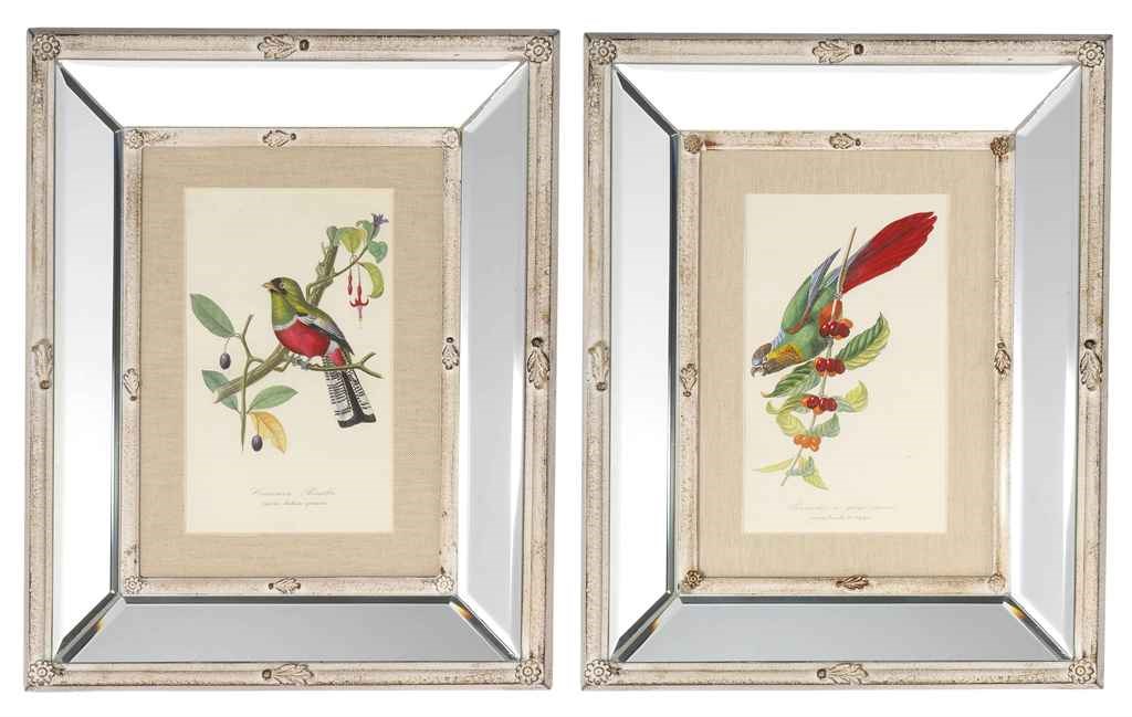 TWELVE FRENCH COLOURED ENGRAVINGS OF BIRDS