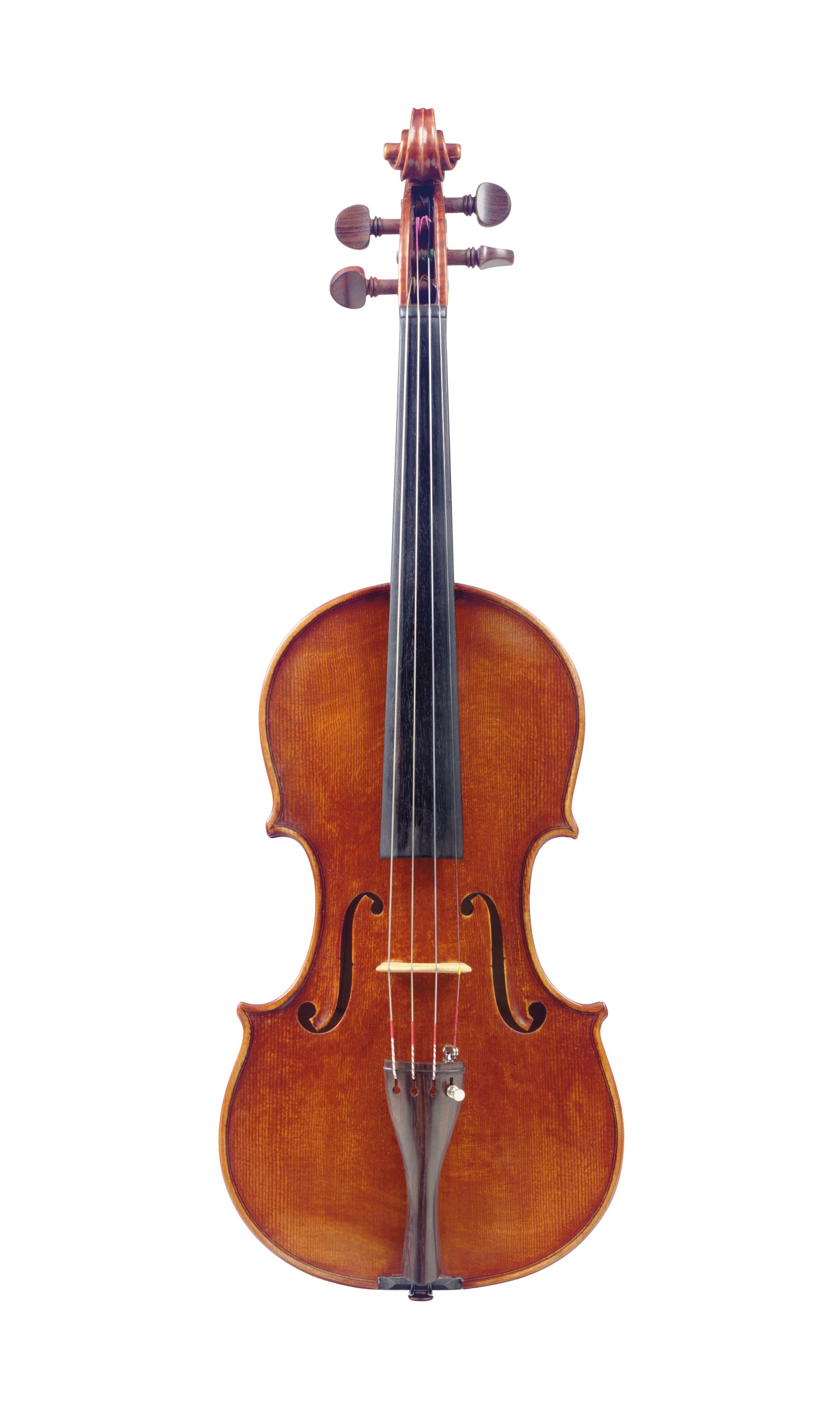A VIOLIN