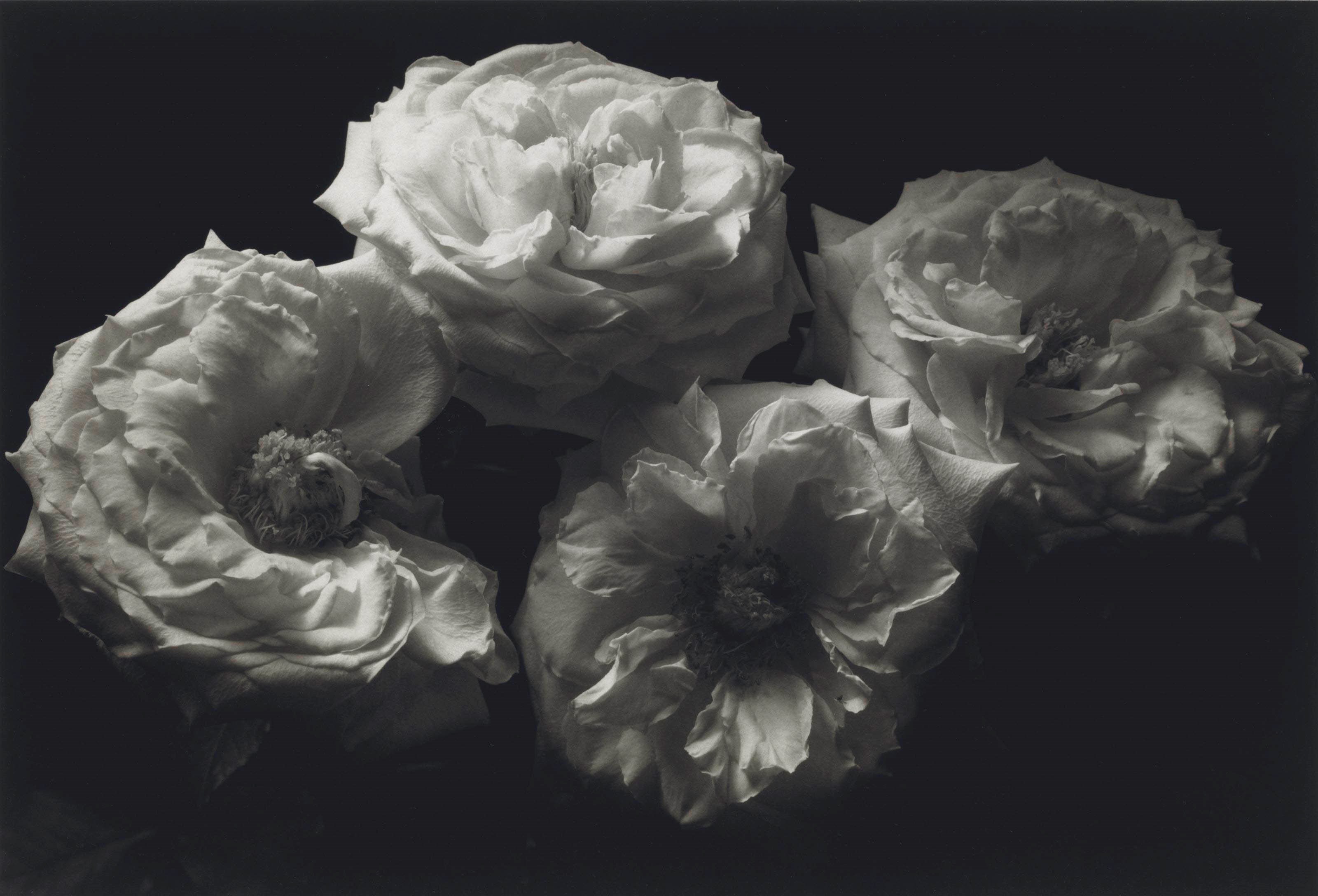 KENRO IZU (B. 1949)