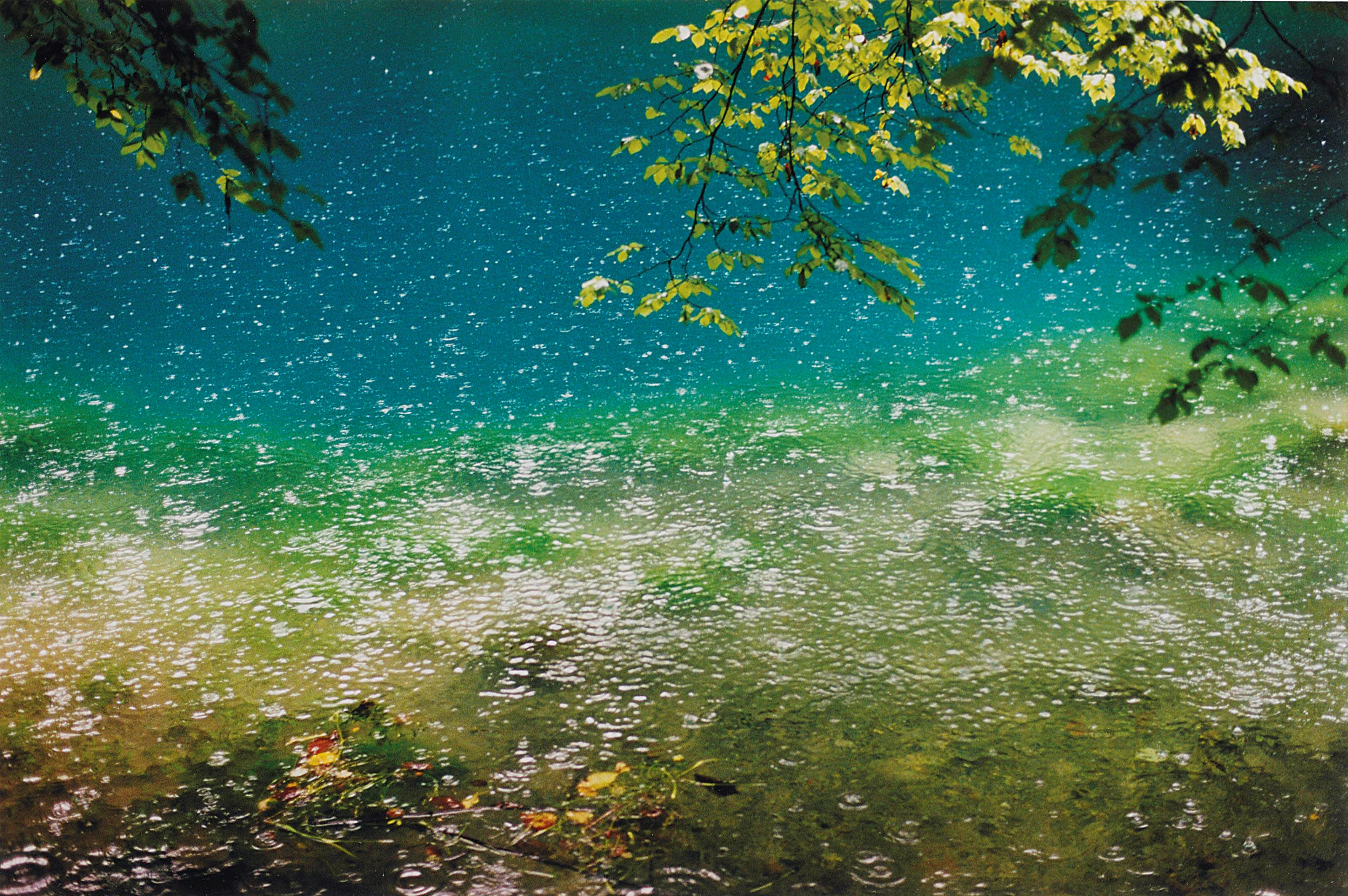 WOLFGANG TILLMANS (B. 1968)