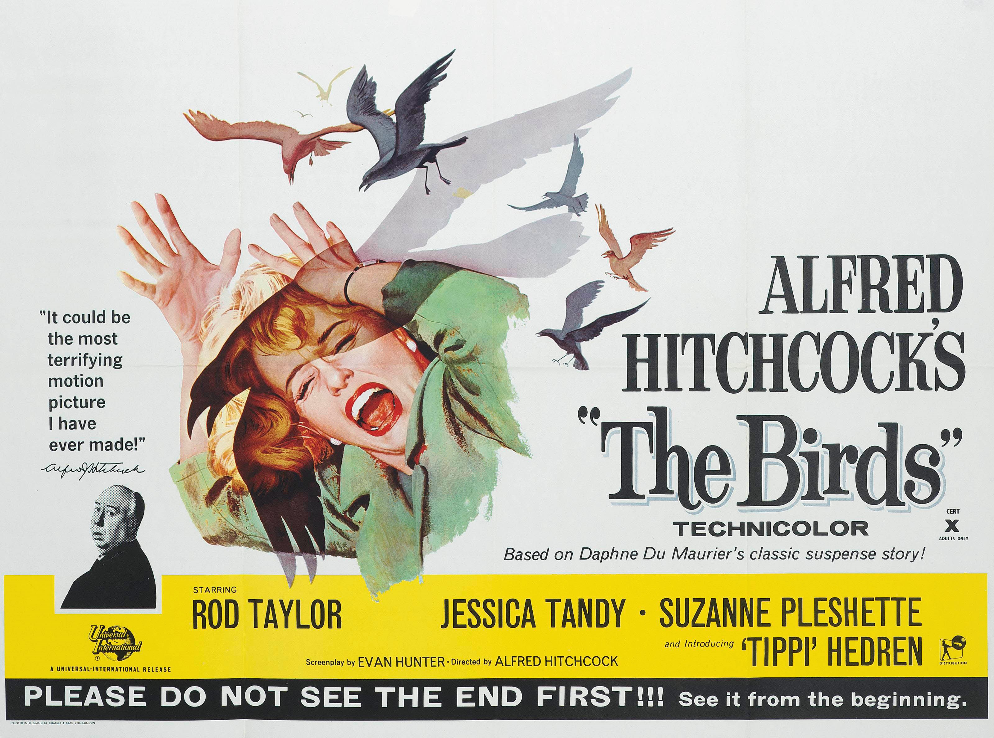 The Birds