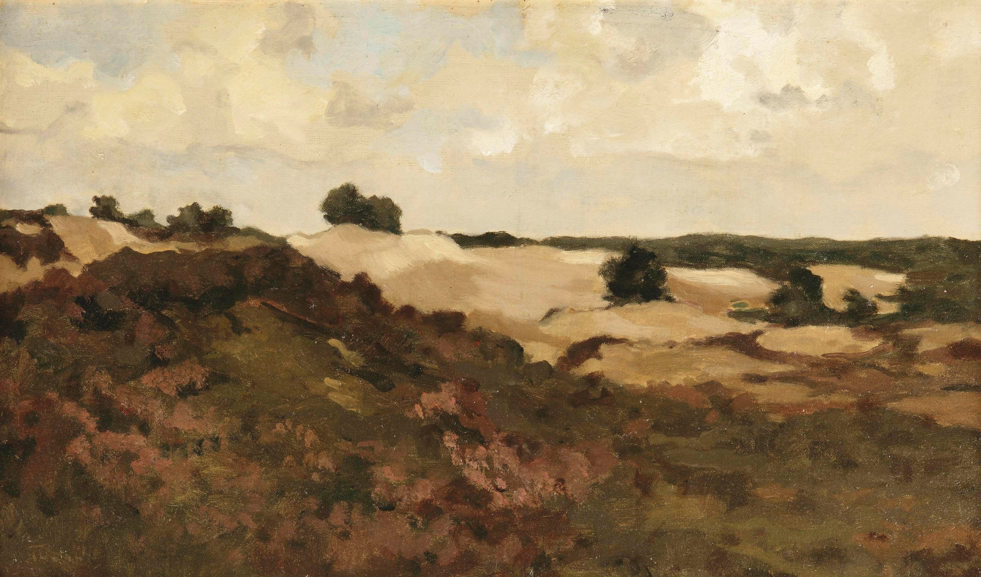 Willem Bastiaan Tholen (1860-1931)
