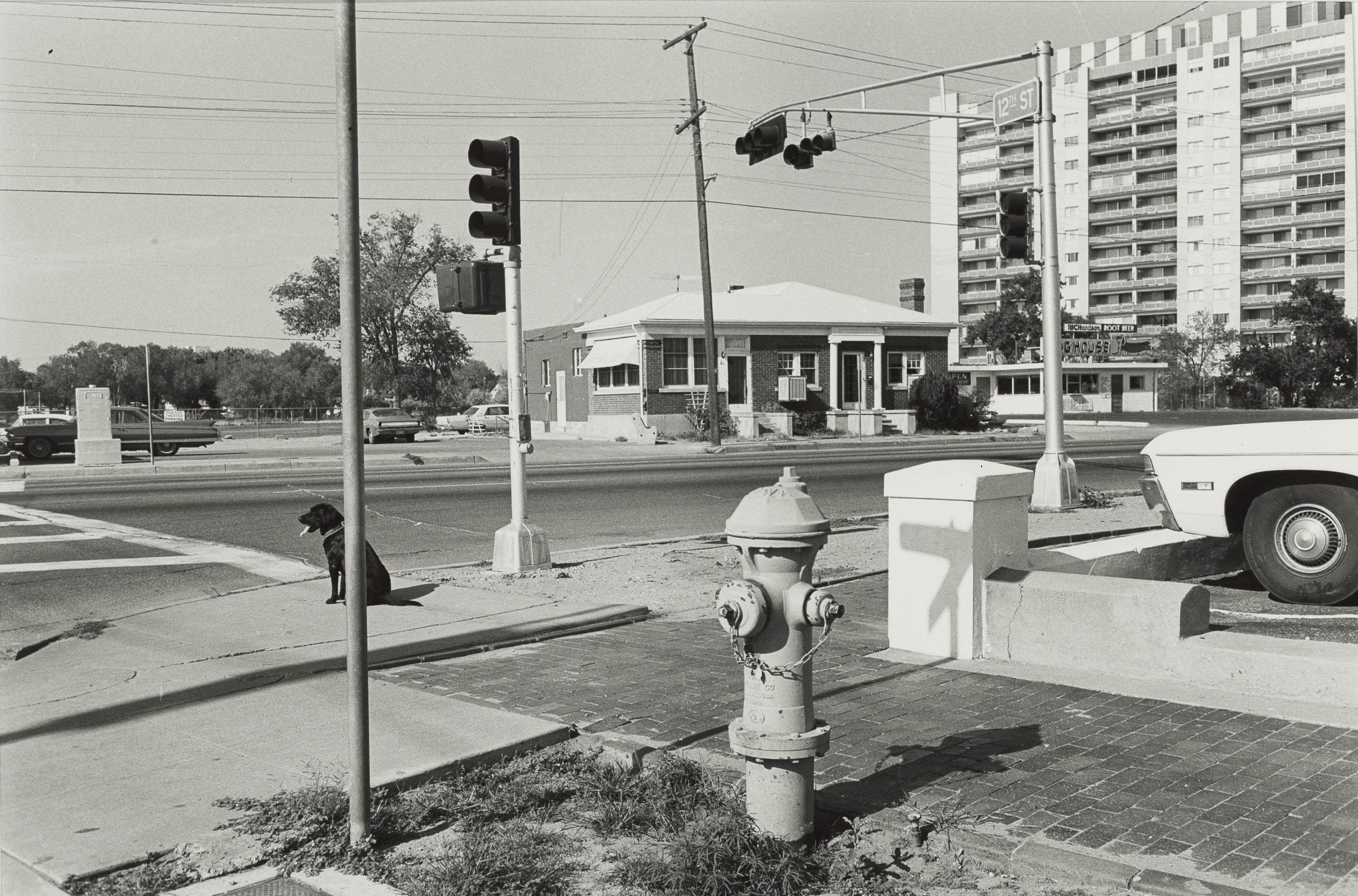 LEE FRIEDLANDER (B. 1934)