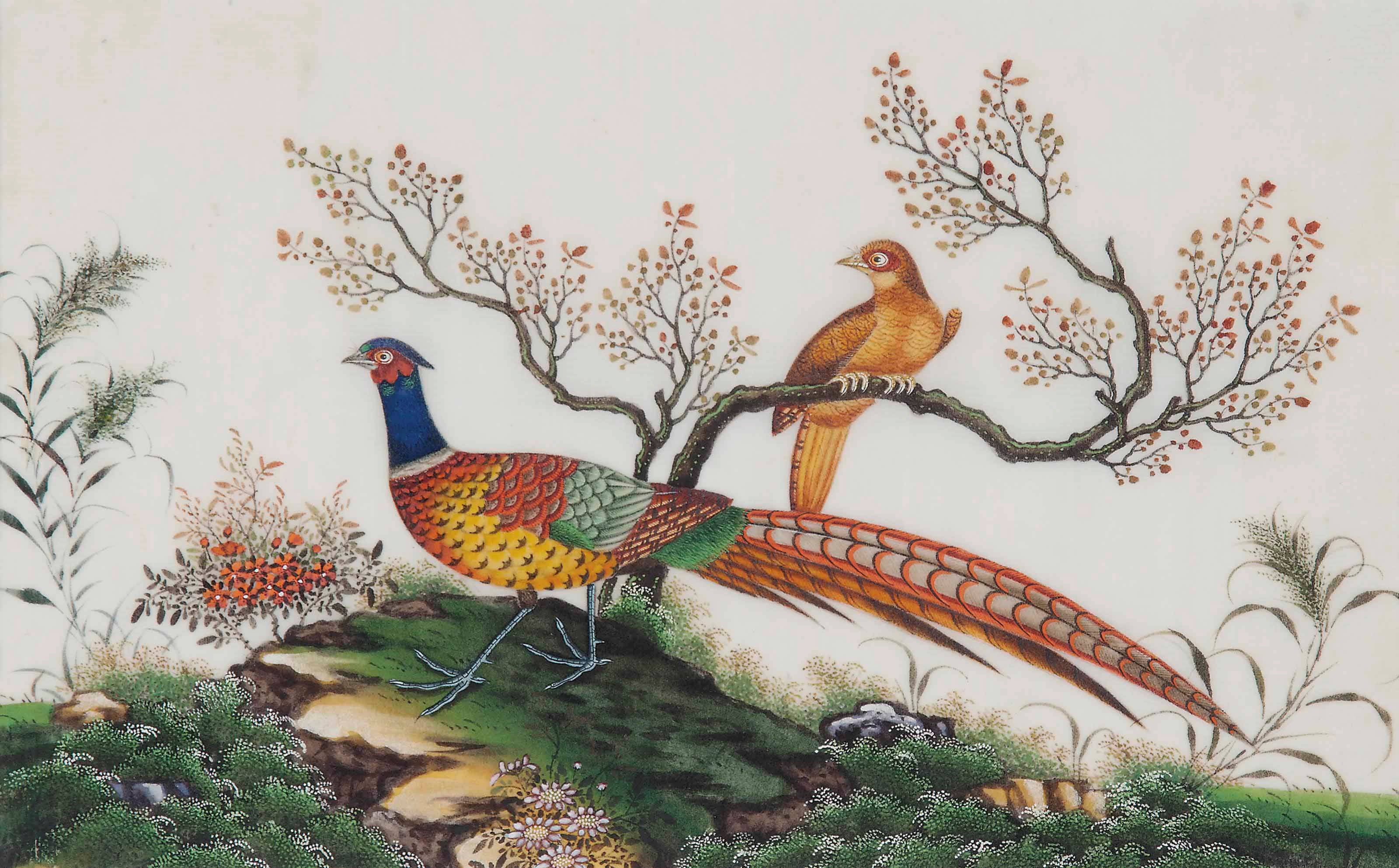 A SET OF EIGHT CHINESE RICE PAPER PAINTINGS OF BIRDS