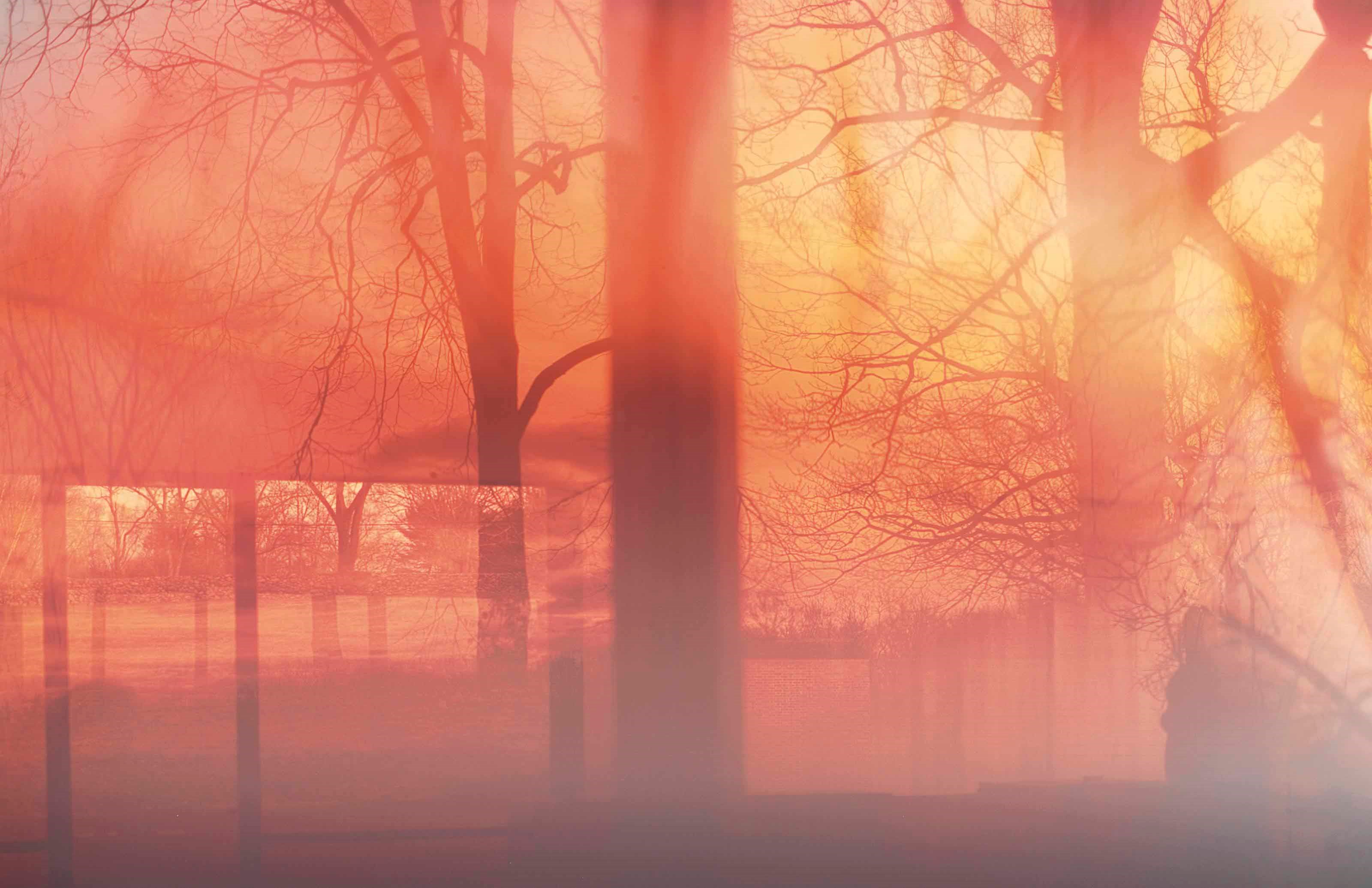 James Welling (B. 1951)