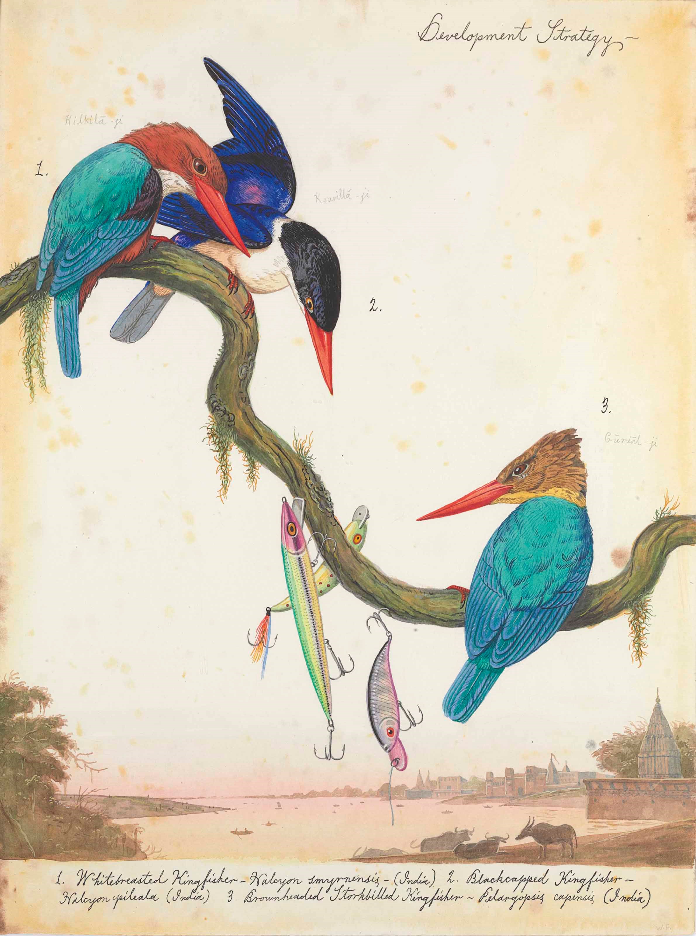 Walton Ford (b. 1960)