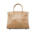 A SHINY FICELLE POROSUS CROCODILE BIRKIN 30 WITH PALLADIUM HARDWARE