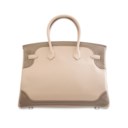 A LIMITED EDITION ARGILE & ÉTOUPE SWIFT LEATHER GHILLIES BIRKIN 35 WITH PALLADIUM HARDWARE