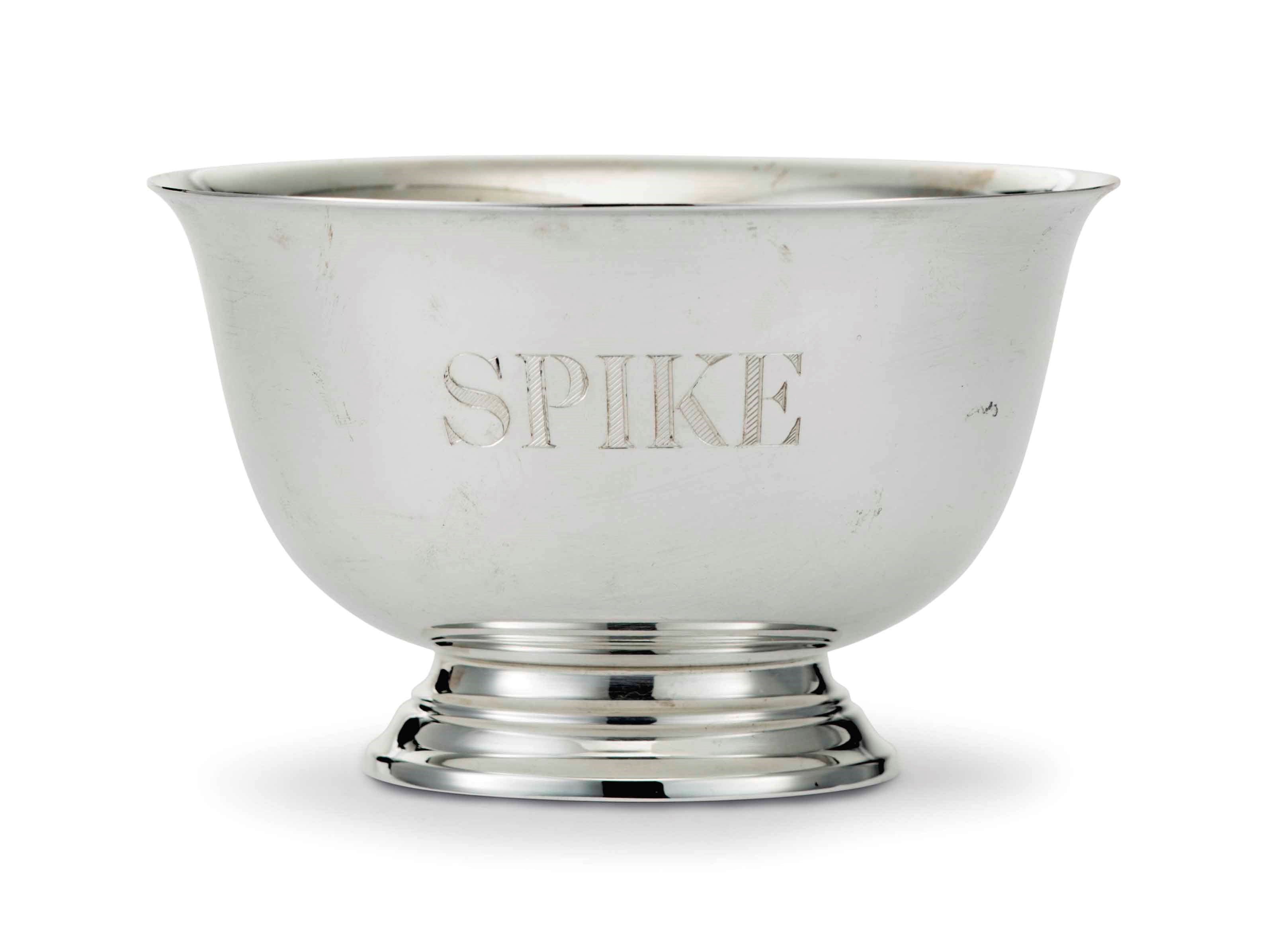 `SPIKE'S' SILVER DOG BOWL