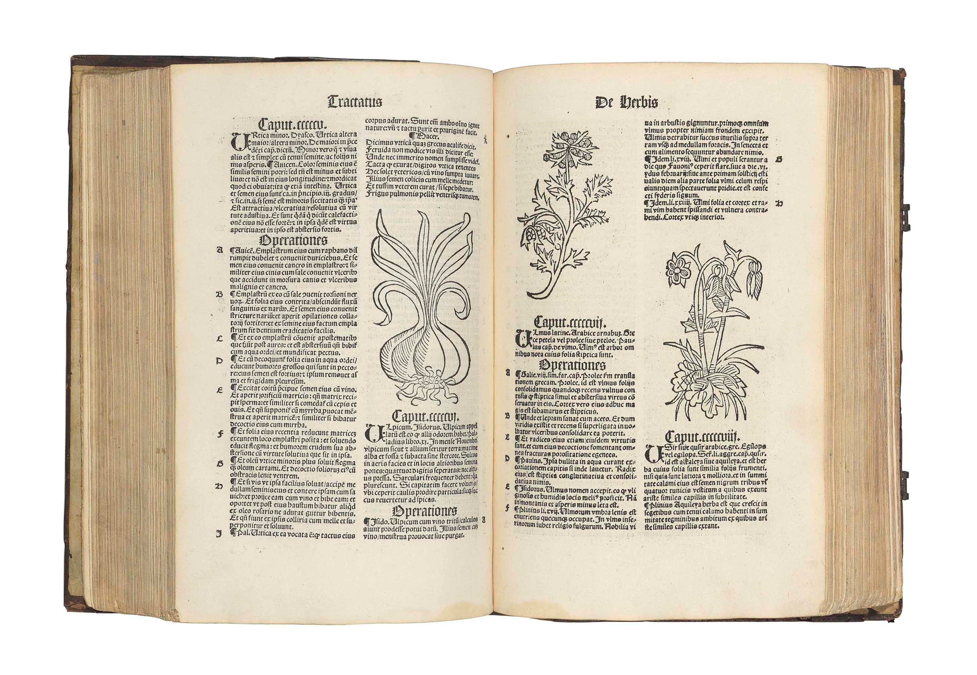 [H]ORTUS SANITATIS. De Herbis et Plantis, de Animalibus et Reptilibus, de Avibus et Volatilibus, de Piscibus et Natatilibus, de Lapidibus et in terre venis nascentibus, de Urinis et earum speciebus. [Strassburg: Reinhard Beck] 1517.
