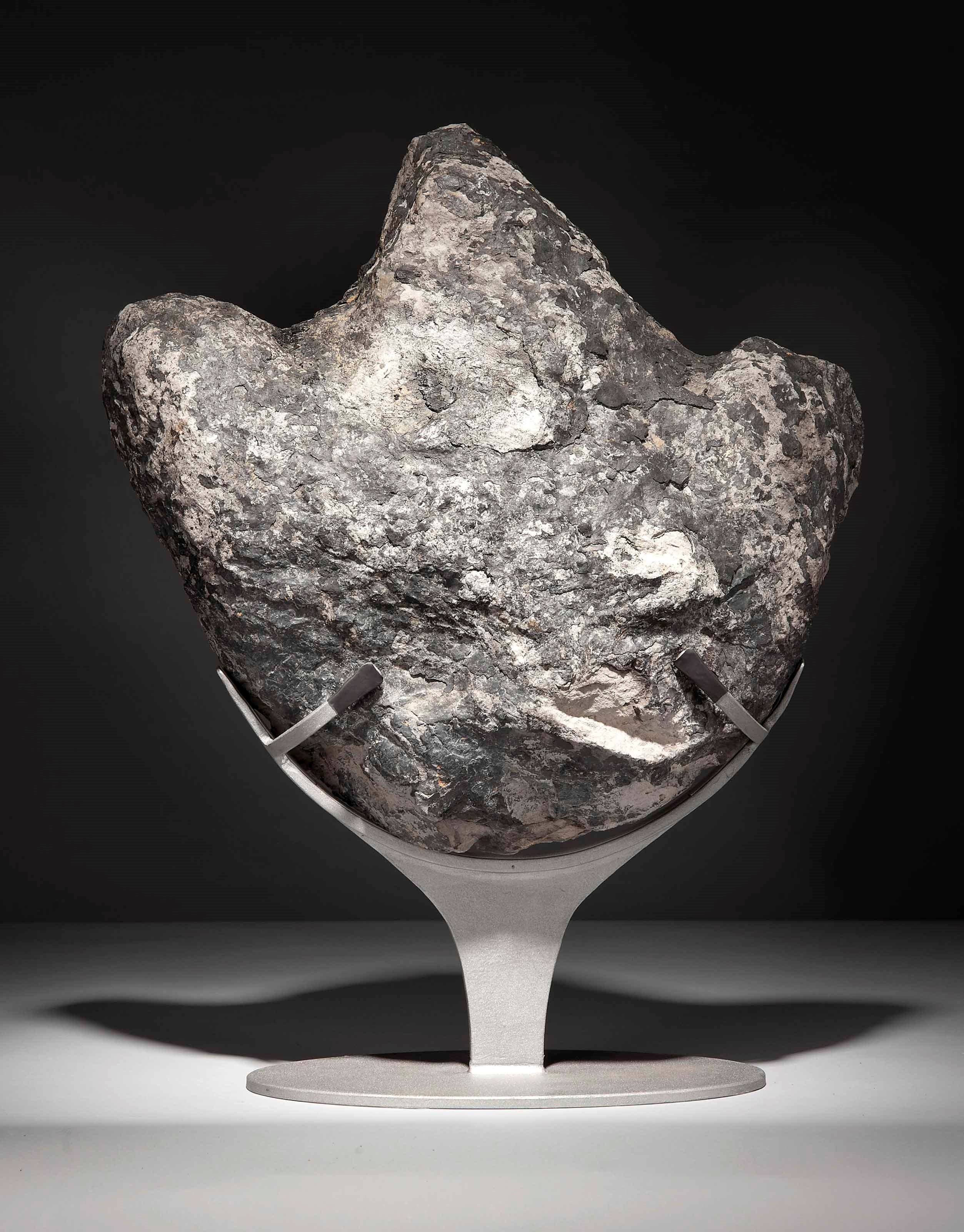 A DINOSAUR FOOTPRINT