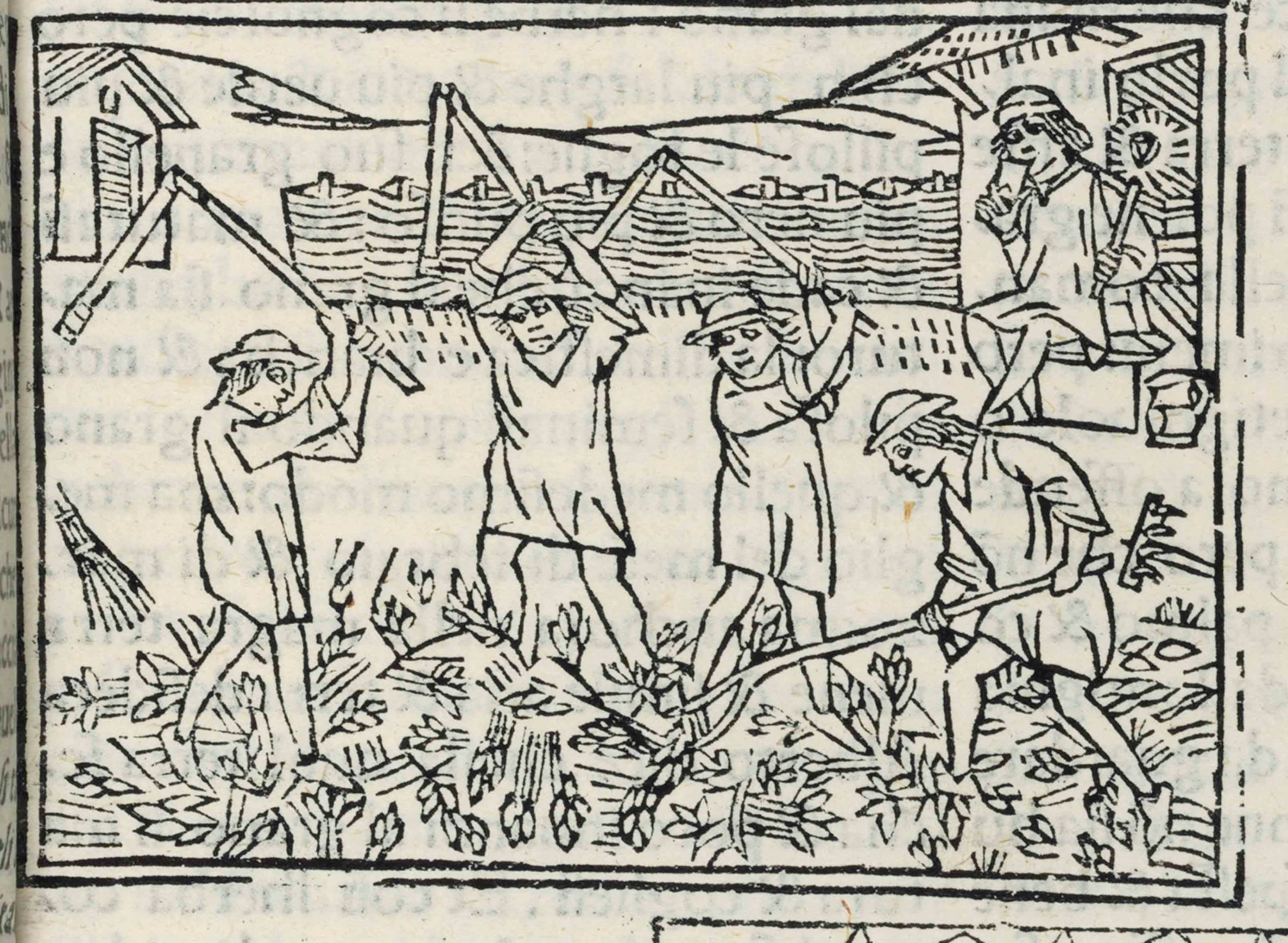 CRESCENTIUS, Petrus (ca 1233-ca 1320). De agricultura vulgare. Venice: [Giovanni Rosso and Bernardinus Vercellensis?], 6 September 1511.